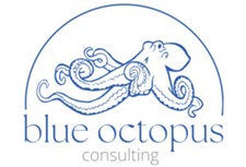 Blue Octopus Consulting 徽标。这是一个造型化的徽标，在一条蓝色弧线下勾勒出一只蓝色的章鱼，弧线上的文字是："blue octopus consulting。" 